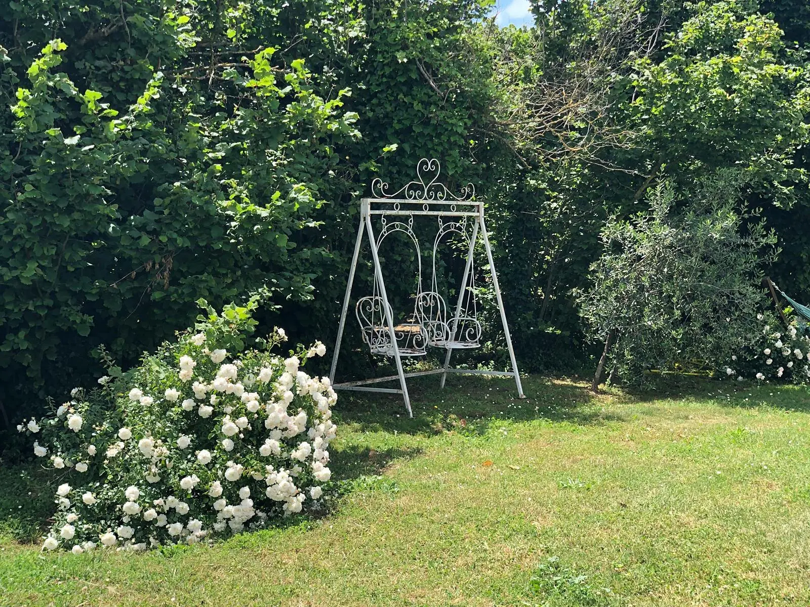 L'altalena in giardino e le rose bianche
