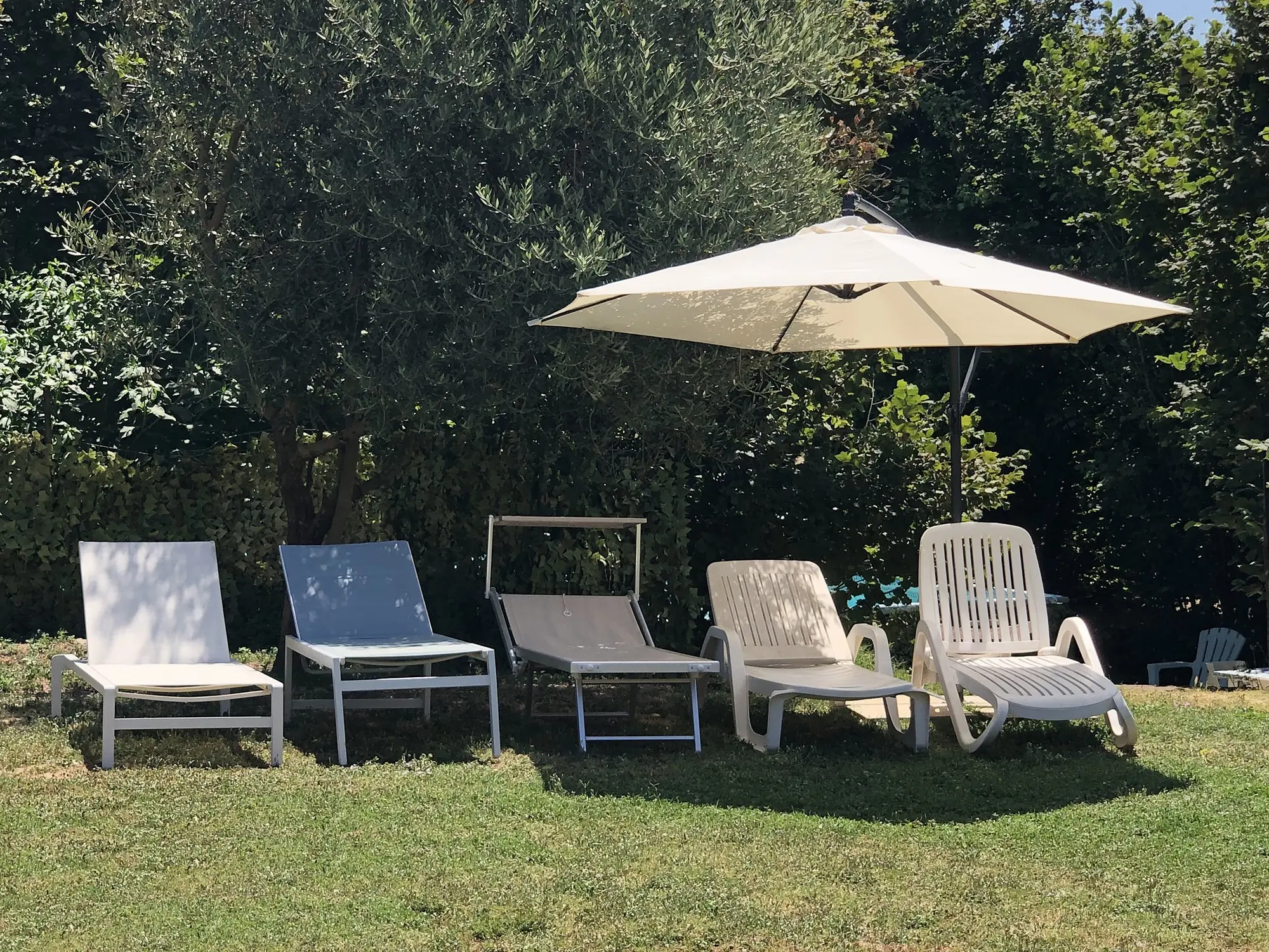 I lettini sotto l'ombrellone in giardino